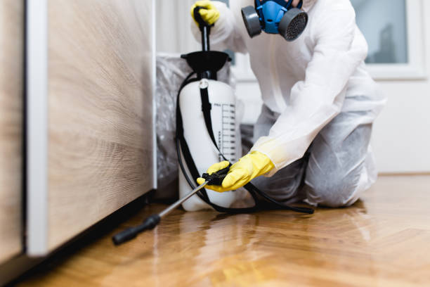 Best Pest Removal Services  in Auburn, IL