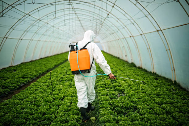 Best Residential Pest Control  in Auburn, IL
