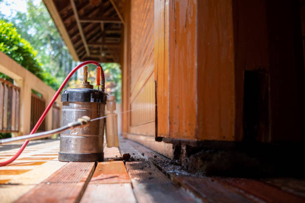 Best Local Pest Control Services  in Auburn, IL