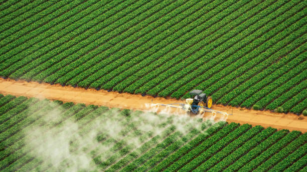 Best Insect Control  in Auburn, IL