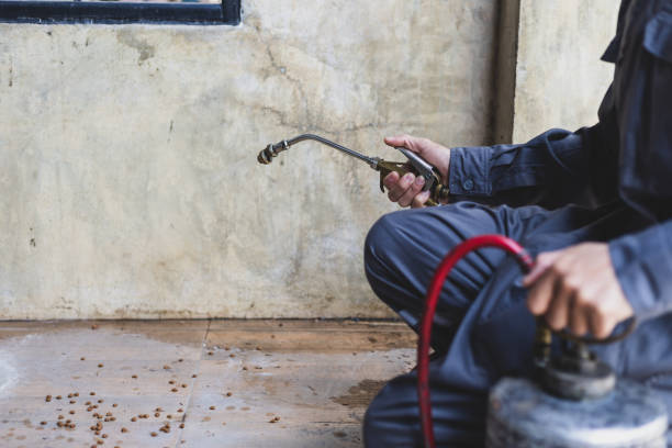 Best Best Pest Control Companies  in Auburn, IL