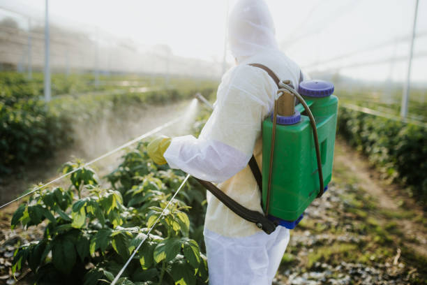 Best Residential Pest Control  in Auburn, IL